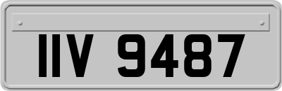 IIV9487