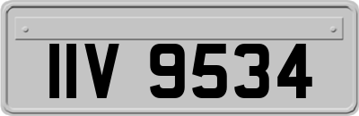 IIV9534