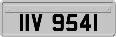 IIV9541