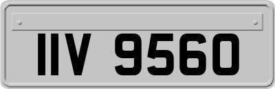 IIV9560