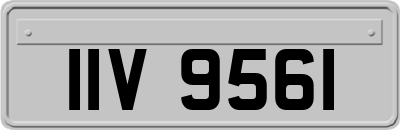 IIV9561