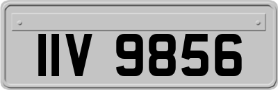 IIV9856