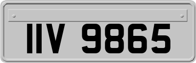 IIV9865
