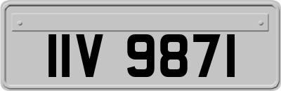 IIV9871