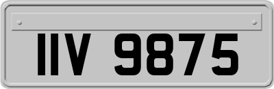 IIV9875