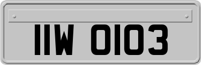 IIW0103