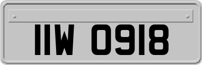 IIW0918