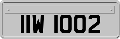 IIW1002