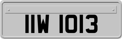 IIW1013