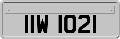 IIW1021