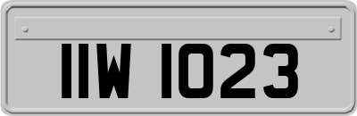 IIW1023