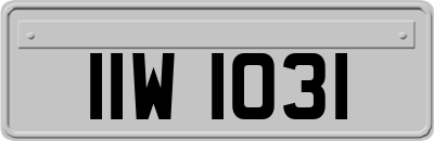 IIW1031