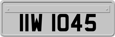 IIW1045