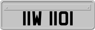 IIW1101