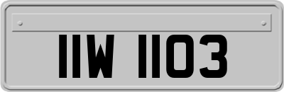 IIW1103