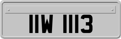 IIW1113