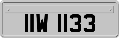 IIW1133