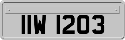 IIW1203