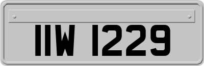 IIW1229