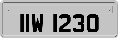 IIW1230