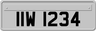 IIW1234