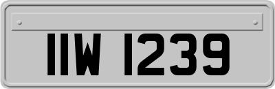 IIW1239