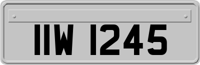 IIW1245