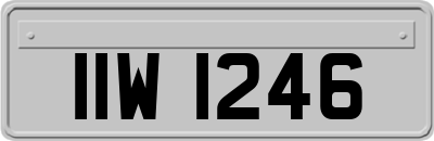 IIW1246