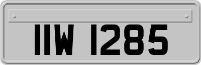 IIW1285