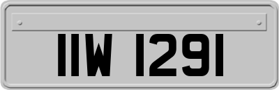 IIW1291