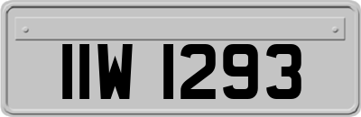 IIW1293