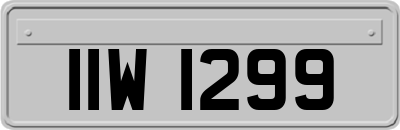 IIW1299