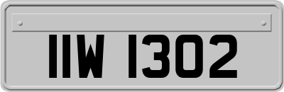 IIW1302
