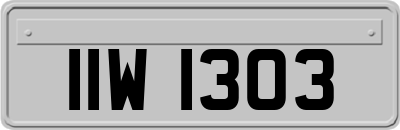 IIW1303