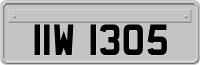 IIW1305