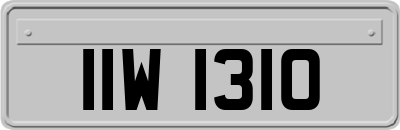 IIW1310