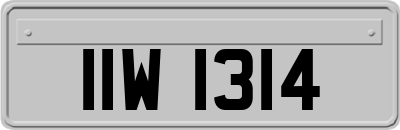 IIW1314