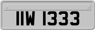 IIW1333
