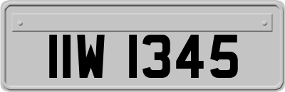IIW1345