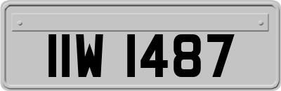 IIW1487