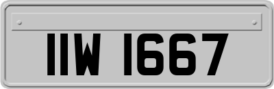 IIW1667