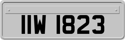 IIW1823