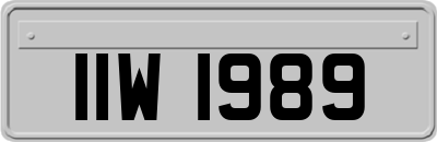 IIW1989