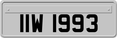 IIW1993