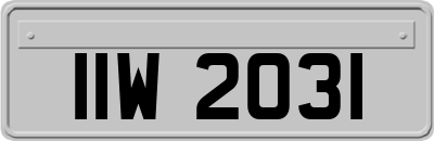 IIW2031