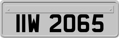 IIW2065