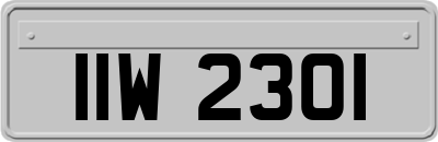 IIW2301