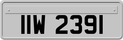 IIW2391