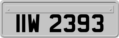 IIW2393