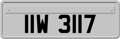 IIW3117